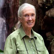  Jane Goodall